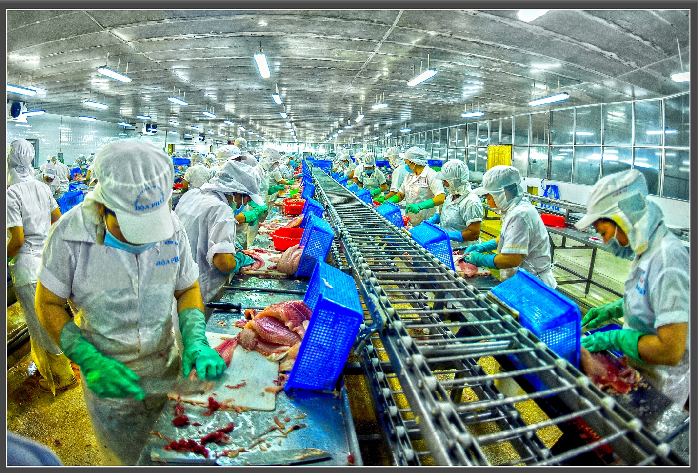 D:\CUOC THI ANH\Nguyen Tan Minh 187.jpg